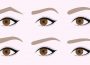 Which Eyebrow Style is the Most Flattering?