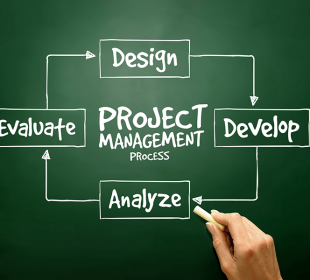 project portfolio management system