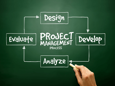 project portfolio management system